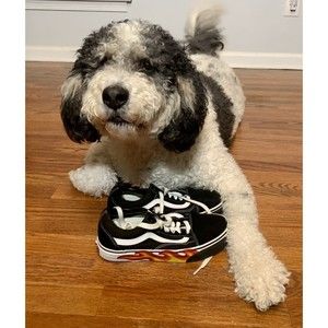 VANS Old Skool Flame Cut Out 2019 5.5 Black, Red & Orange Flames